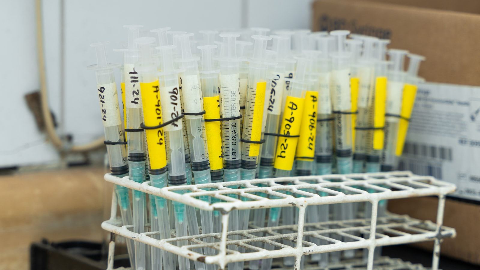 SHBG and hormone binding