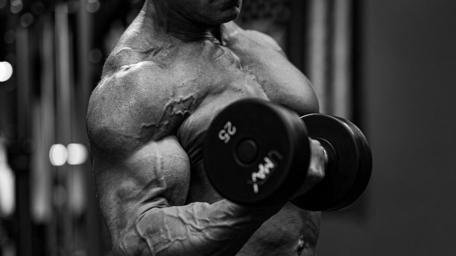 Training for fat loss vs muscle